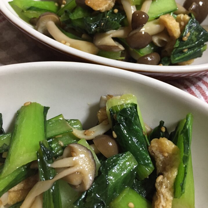 麺つゆで簡単！小松菜の炒め物